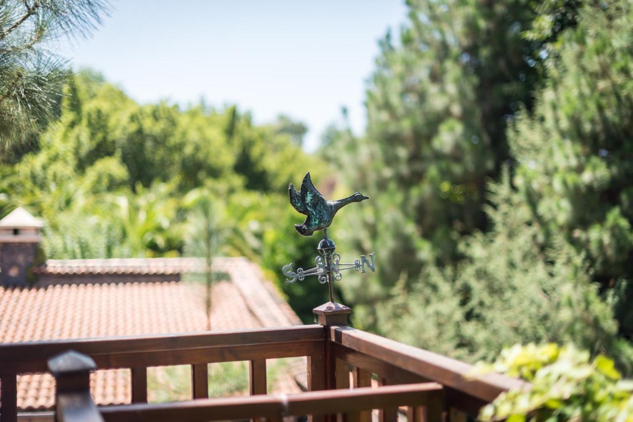 Hacienda Verde 라오로타바 외부 사진